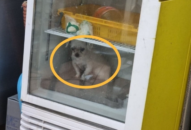 온라인 커뮤니티