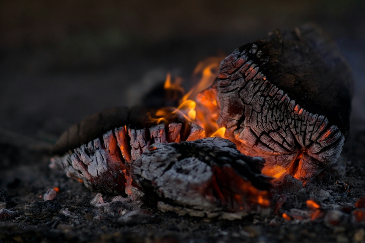 기사와는 직접적인 관련 없는 사진. /Unsplash