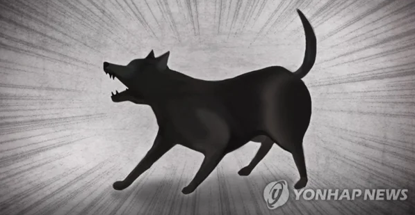 연합뉴스